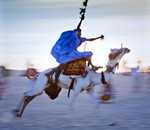 Camel race, Touareg,